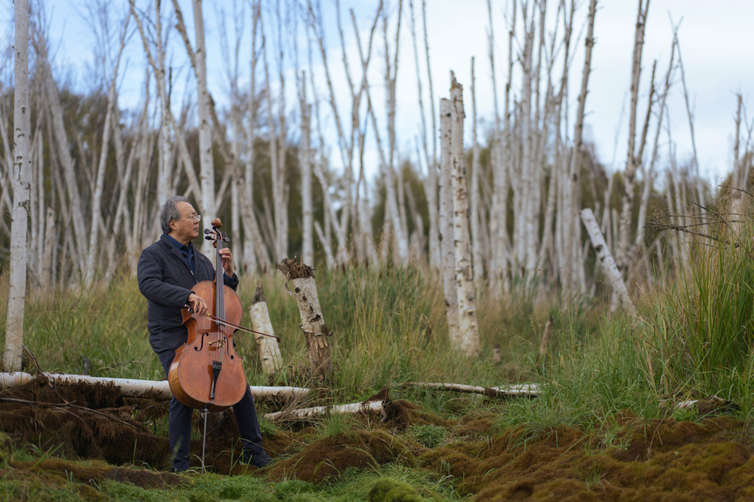 Yo-Yo Ma plays chello in an aspen forest