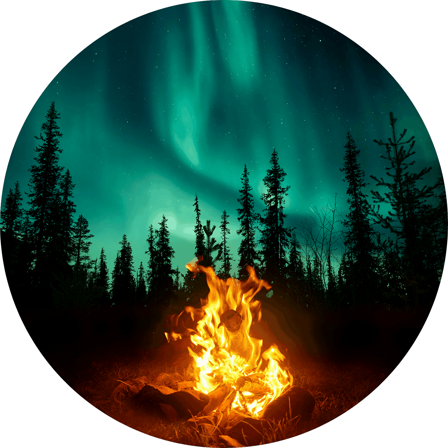 Photo of bonfire in front of tall trees and green sky