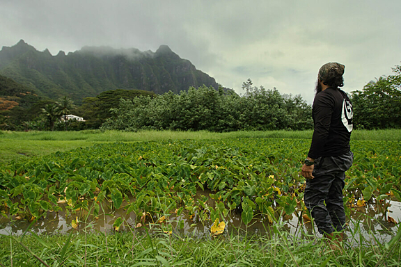 A man stands in looking up towards a mountain in the fog