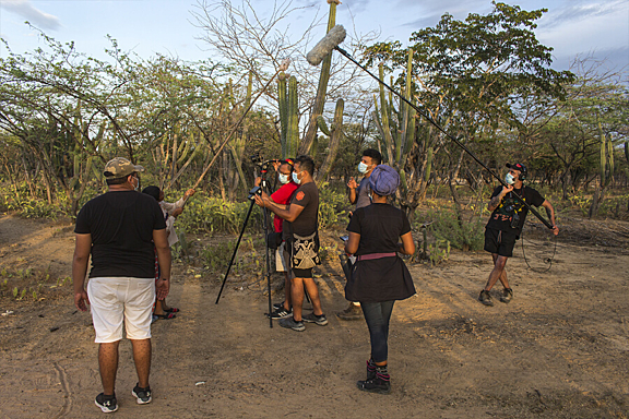 A group of people films a man trying to knock down fruit from a cactus tree
