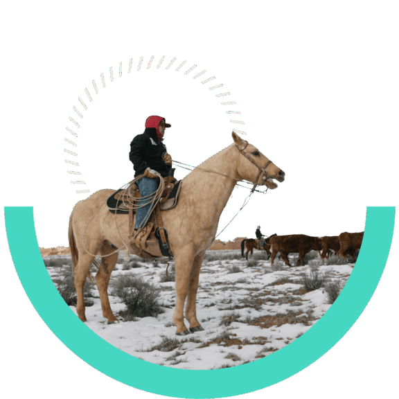 Man riding horse on a frozen tundra