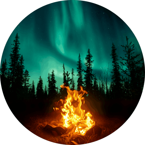 Photo of bonfire in front of tall trees and green sky