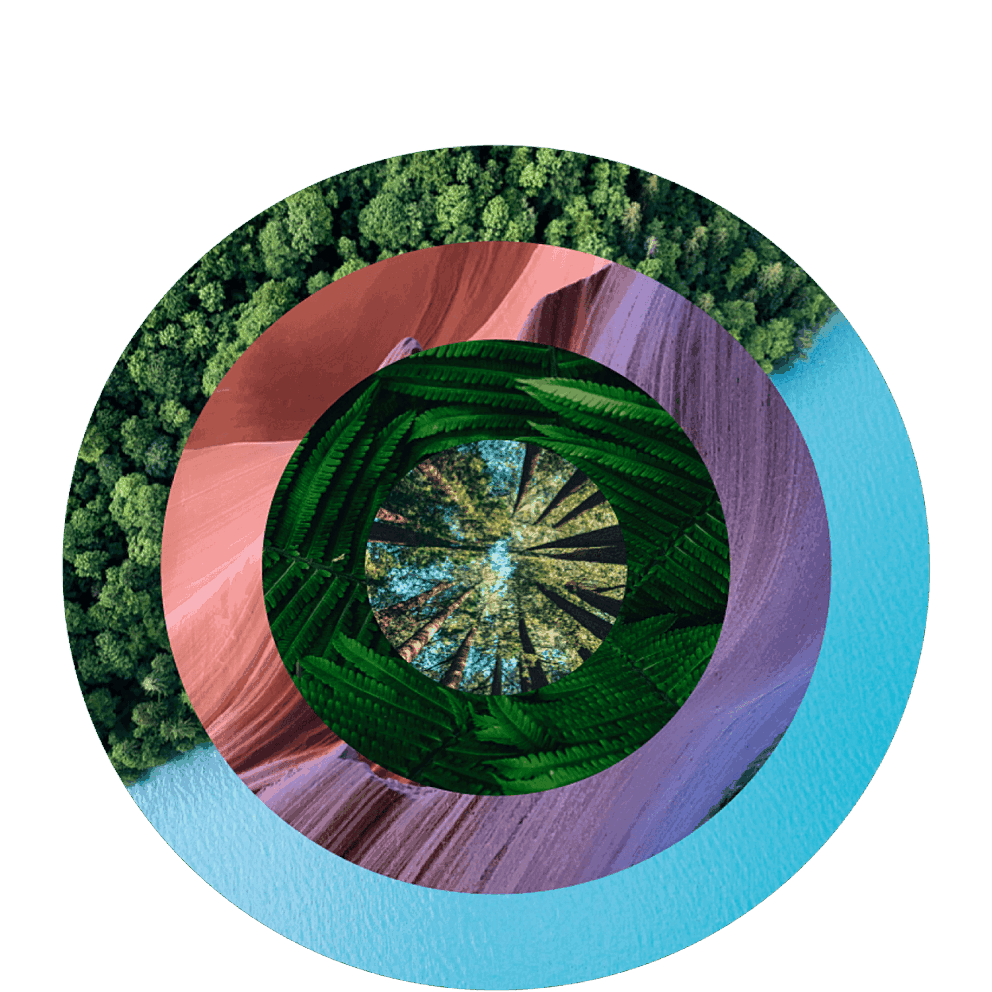 Round multi layered collage of beach, desert and forest images